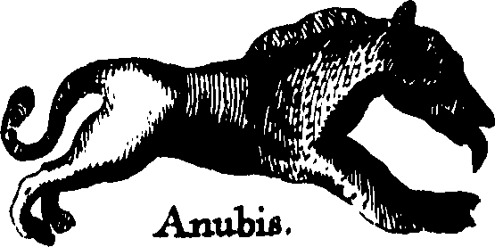 095/095390060000620_1.png