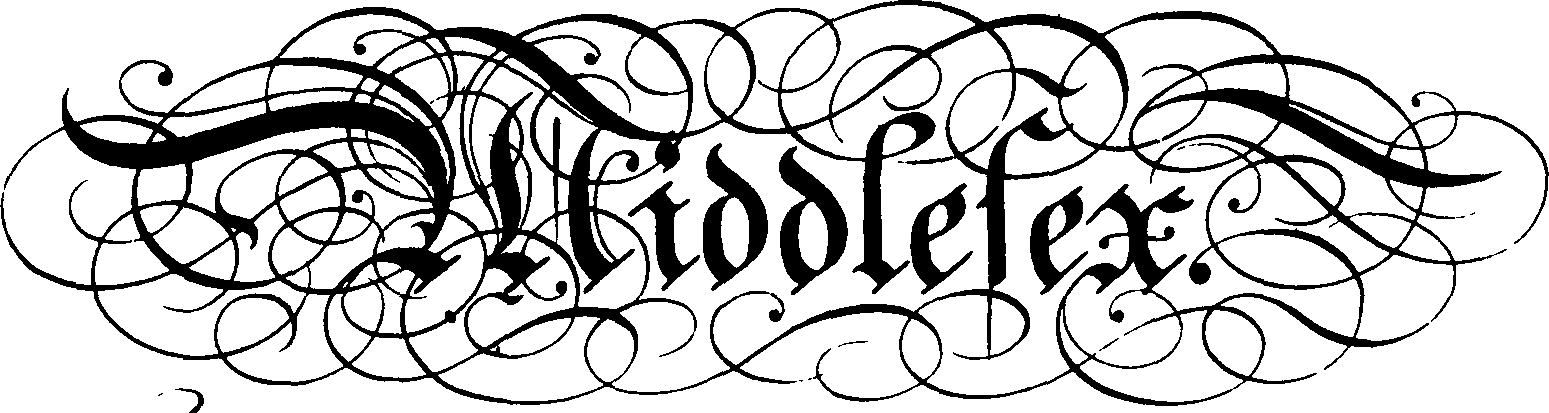 095/095390060000910_2.png