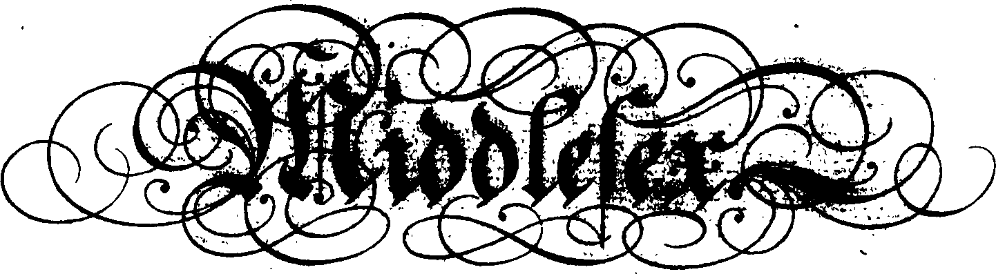095/095390060000960_3.png