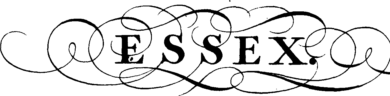 095/095390060000980_3.png