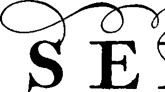 095/095390060000990_5.png