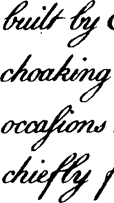 095/095390060001110_3.png