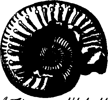 095/095390060001140_2.png