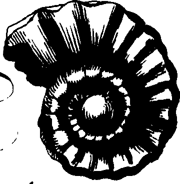 095/095390060001140_3.png