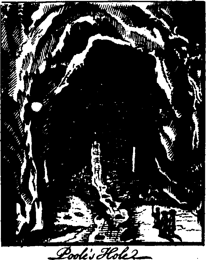 095/095390060001270_1.png