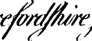 095/095390060001390_0.png