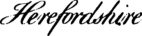 095/095390060001390_1.png