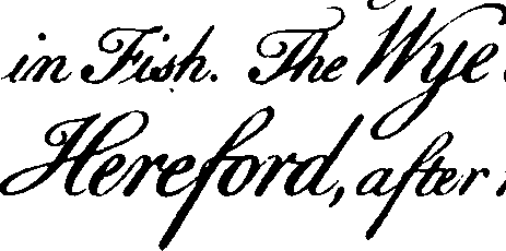 095/095390060001390_3.png