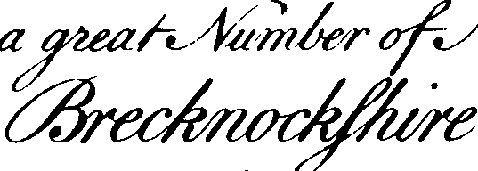 095/095390060001460_2.png