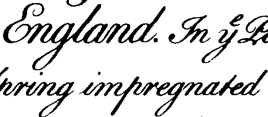 095/095390060001590_2.png
