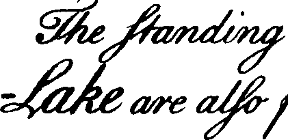 095/095390060001600_2.png