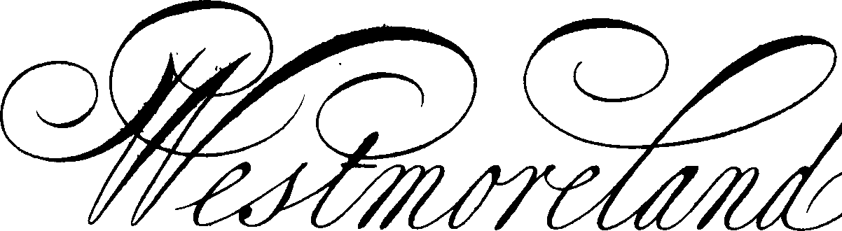 095/095390060001610_5.png