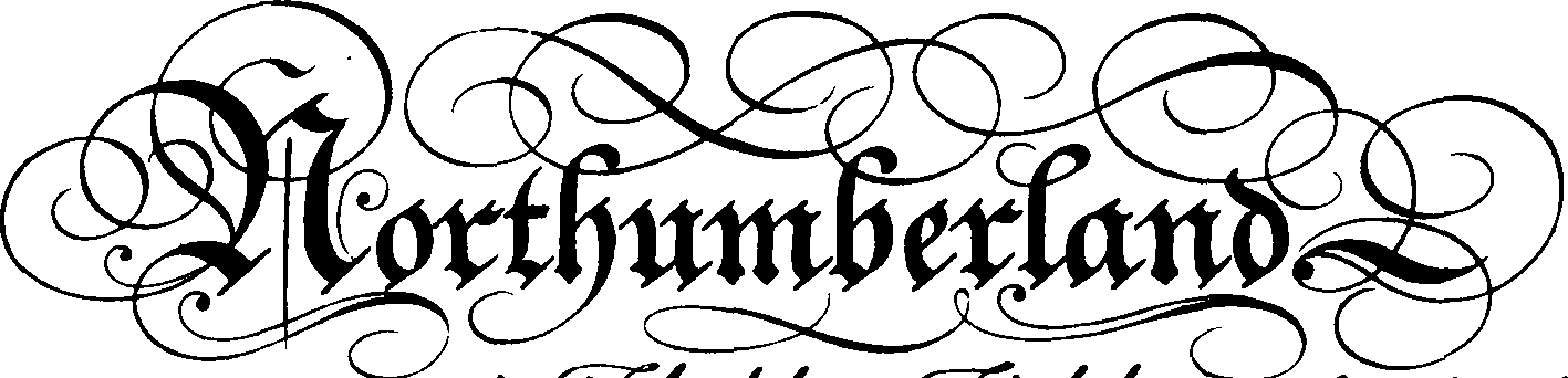 095/095390060001670_2.png