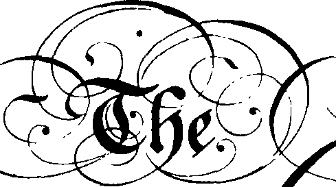 095/095390060001770_2.png