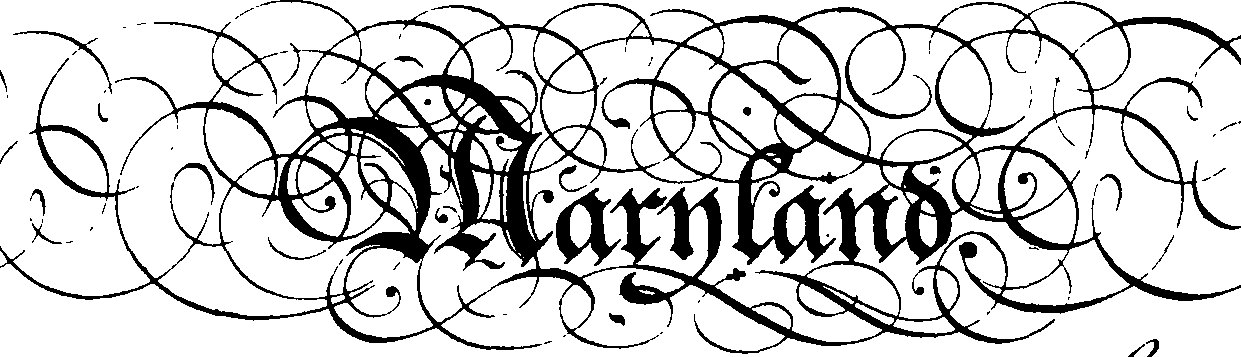095/095390060001810_0.png