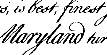 095/095390060001830_1.png
