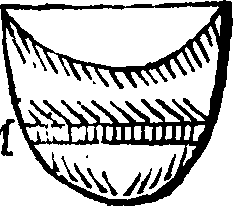 095/095410100005880_0.png