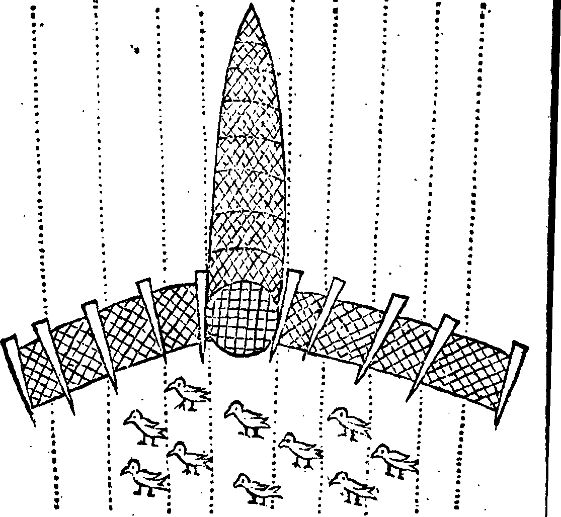 095/095410100007990_0.png