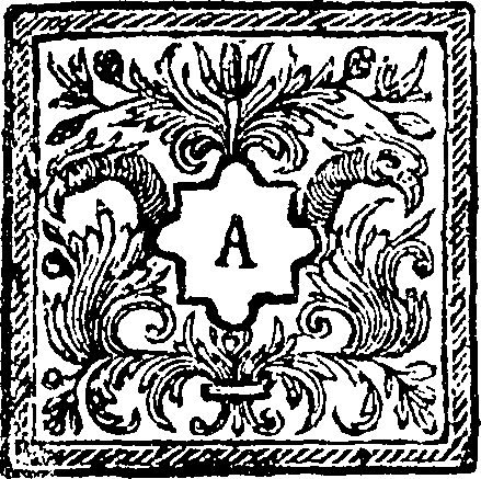095/095420020000020_0.png