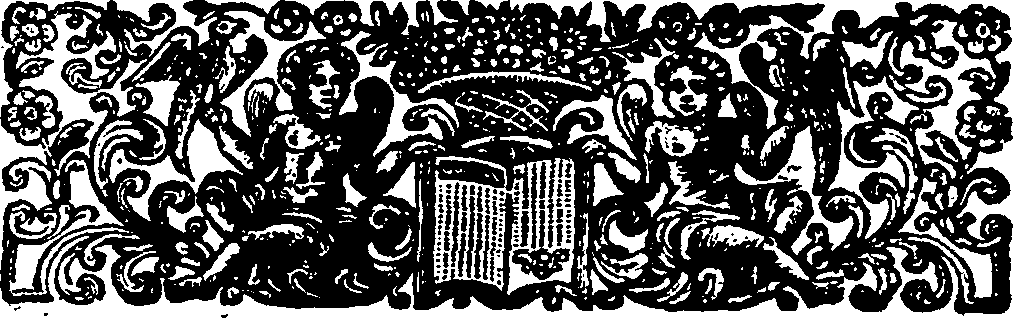 095/095480090000230_2.png