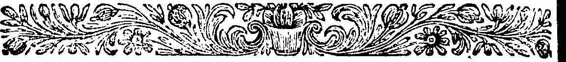 095/095520010001990_1.png