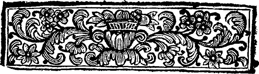 095/095530040003610_1.png