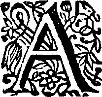 095/095530040004630_0.png