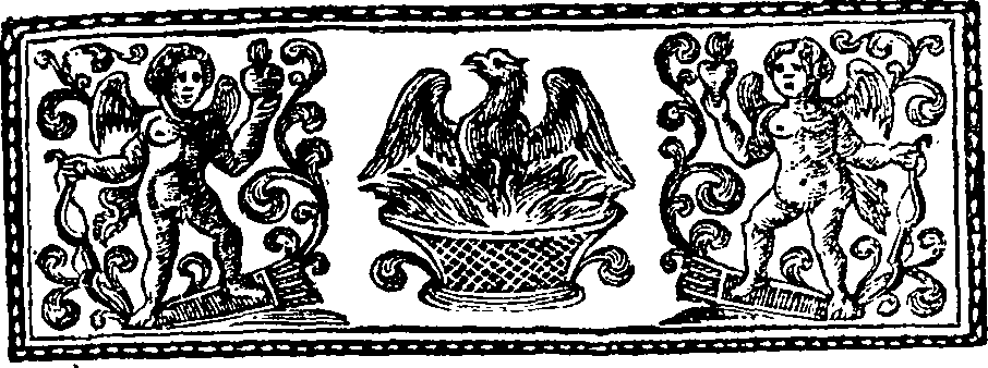 095/095530040004630_1.png