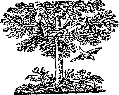 095/095560090001940_0.png