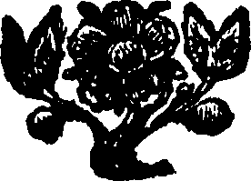 095/095630030003820_0.png