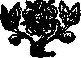 095/095630030003840_0.png