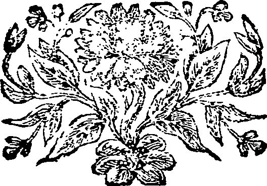 095/095640010301170_0.png