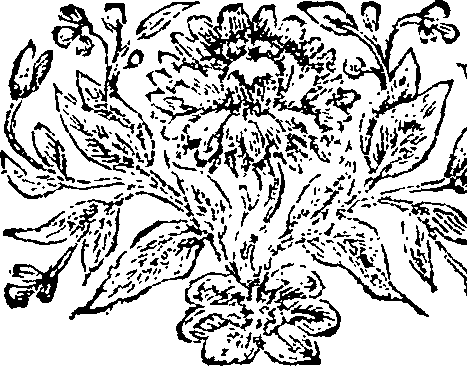 095/095640010301780_0.png