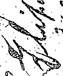 095/095740140000010_0.png