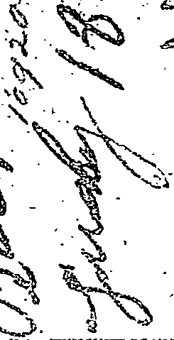 095/095740140000010_1.png