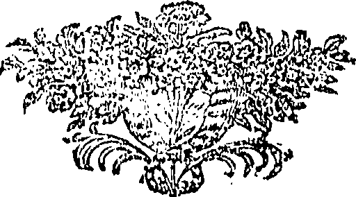 095/095750030000860_0.png