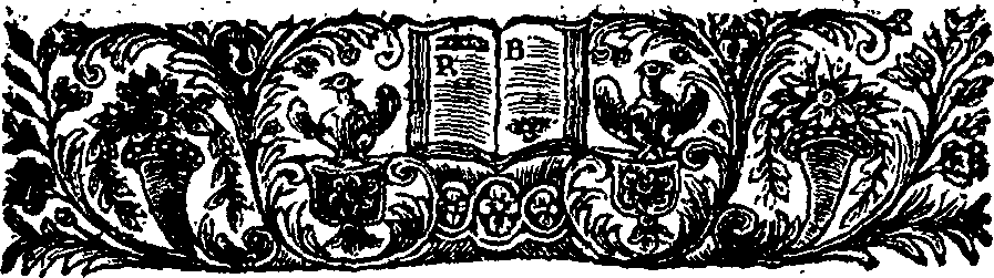 095/095840020000020_1.png