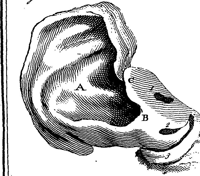 095/095840070000200_0.png