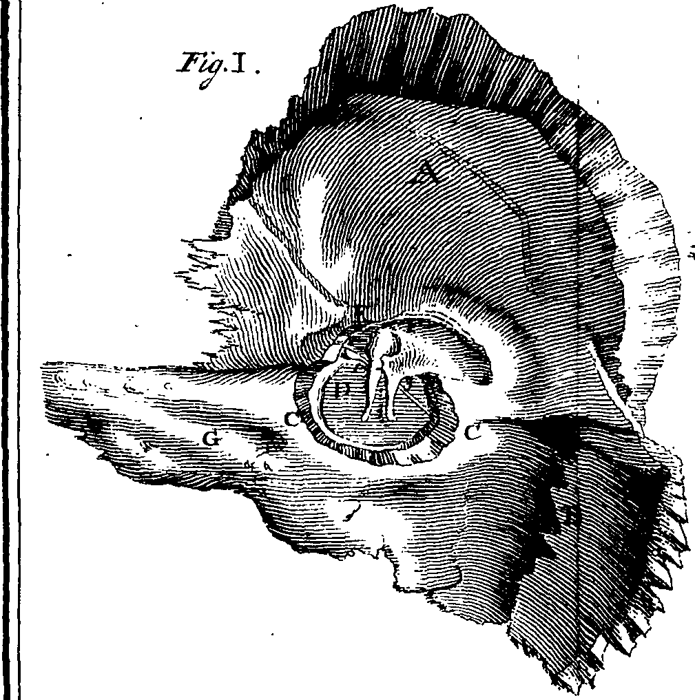 095/095840070000310_0.png