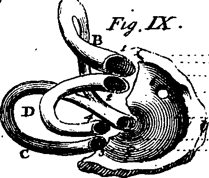 095/095840070000550_0.png