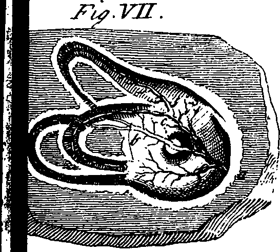 095/095840070000550_1.png
