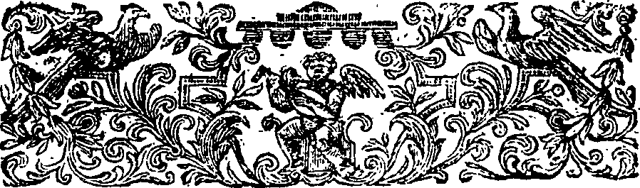 095/095950030000140_2.png