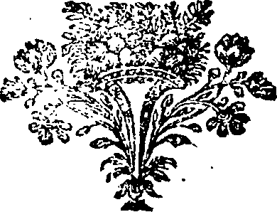 095/095960030000900_0.png