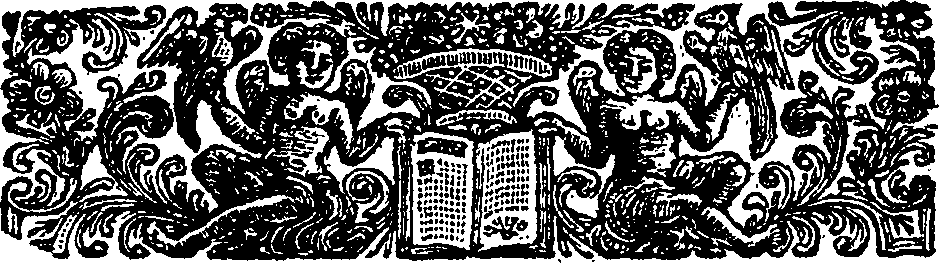 096/096010010000080_1.png