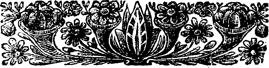 096/096040050001570_0.png