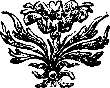 096/096060030203030_0.png