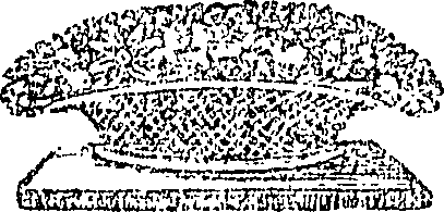 096/096130010000010_0.png