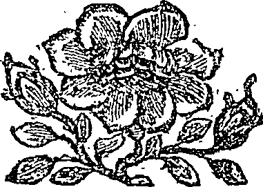 096/096130100102930_0.png