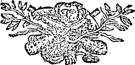 096/096130110000010_0.png