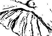 096/096180020000170_0.png